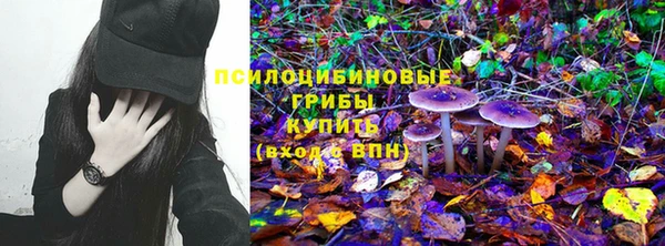 винт Володарск