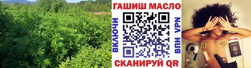 Купить где  Приволжск  Дистиллят ТГК Wax 