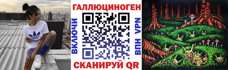 Купить  Приволжск  Галлюциногенные грибы MAGIC MUSHROOMS 